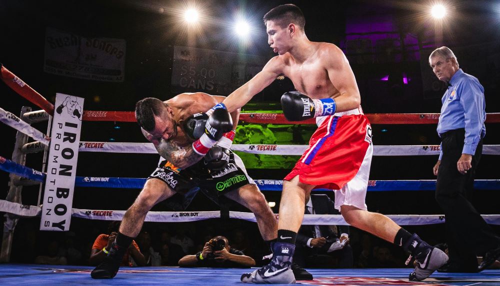 Wie wettet man erfolgreich beim Boxen ?